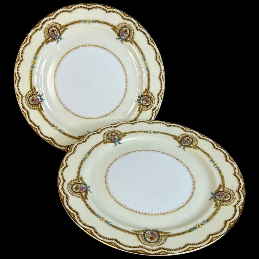 2 Vintage Noritake China Serena Dinner Plates  10” Floral 3840 Made Japan Flaw